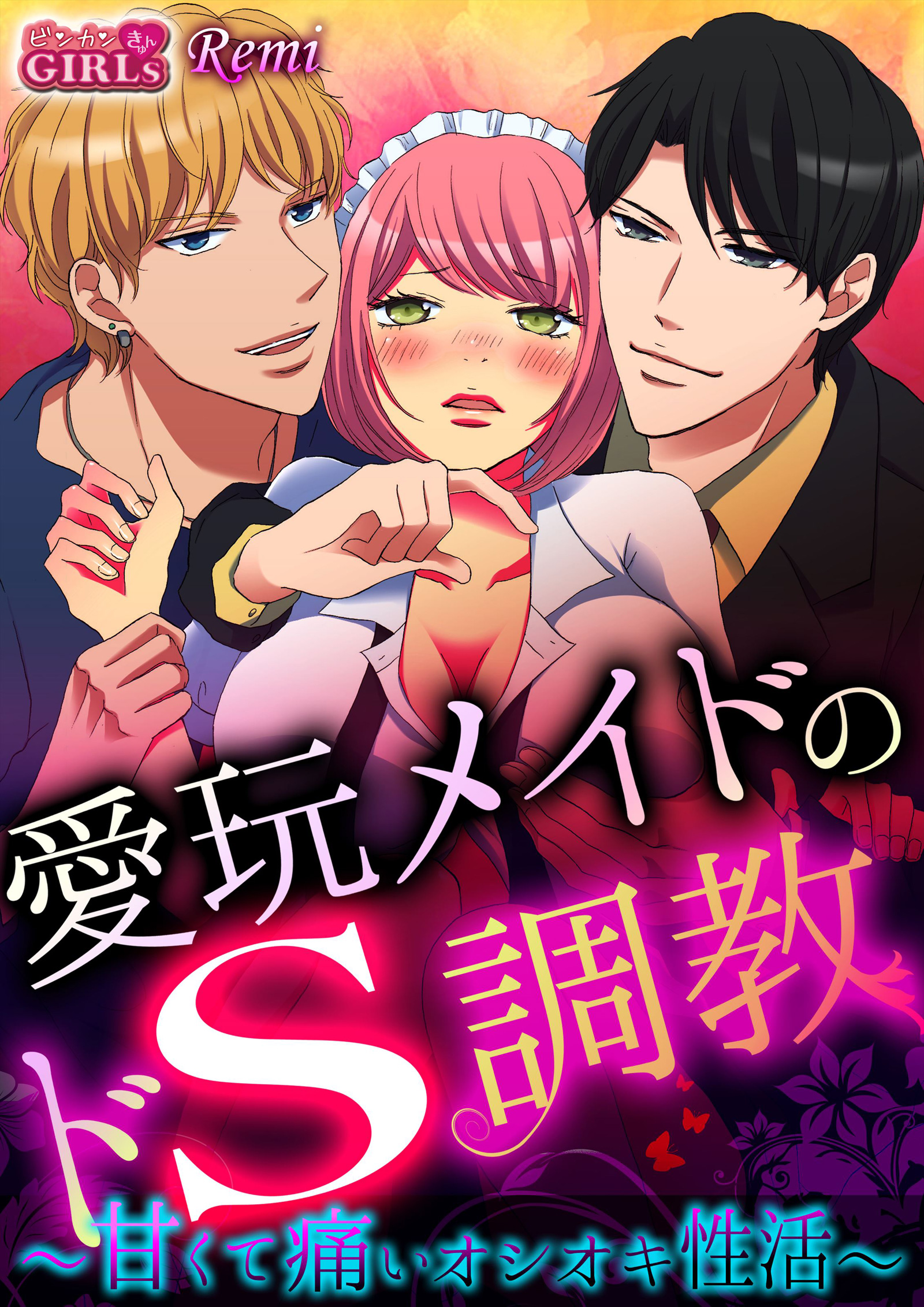 Aigan Maid no de S Choukyou comic