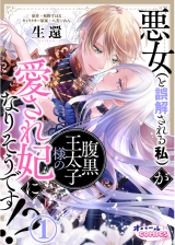 Akujo (to Gokaisareru Watashi) ga Haraguro Outaishi You no Aisare Kisaki ni Nari sou desu! comic