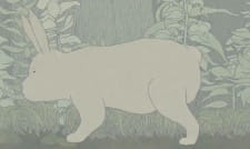 Anomalies animación