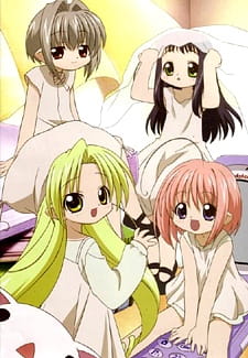 Binzume Yousei animación