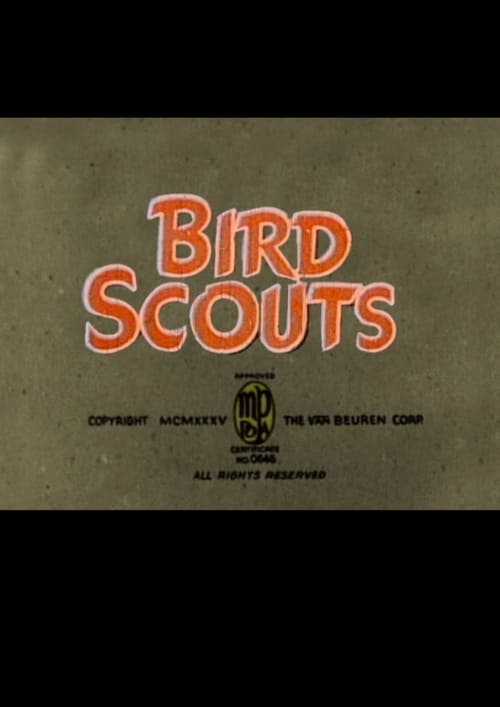 Bird Scouts animación