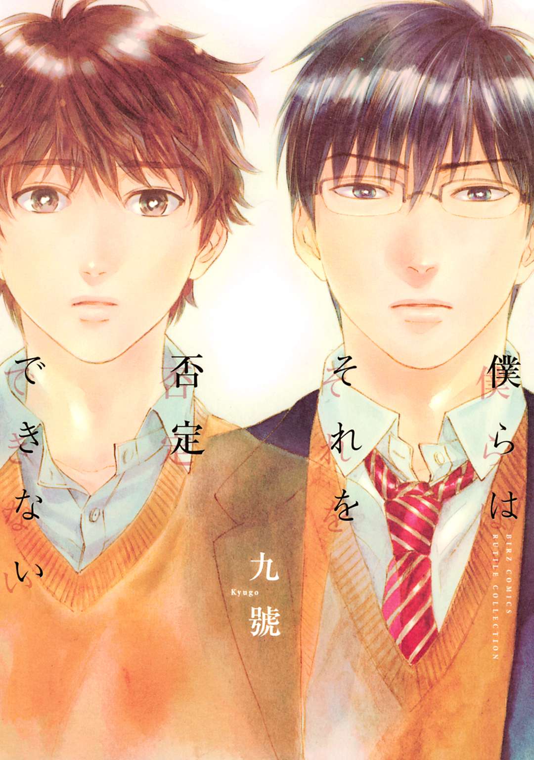 Bokura wa Sore o Hitei Dekinai comic