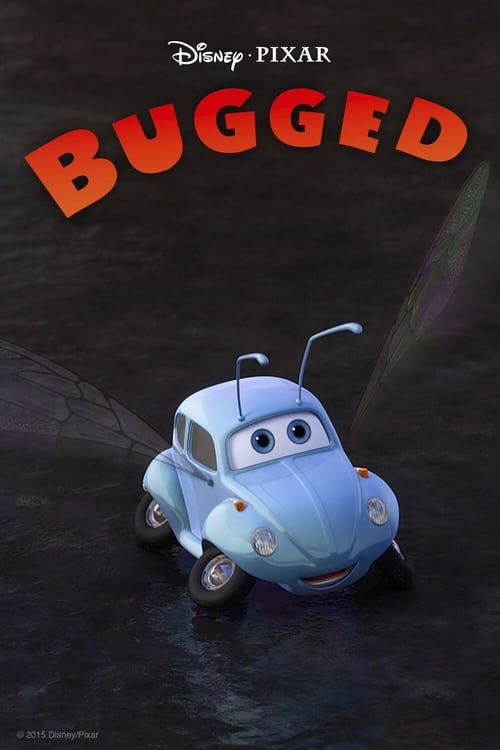 Bugged animación