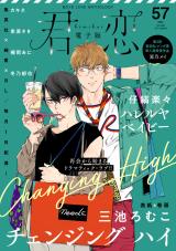 Changing High comic