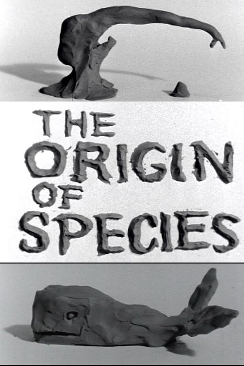 Clay or The Origin of Species animación