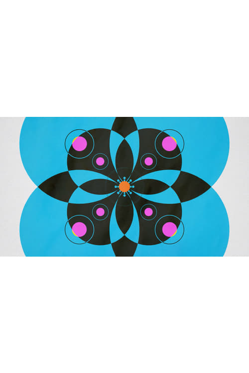 Cotinga animación