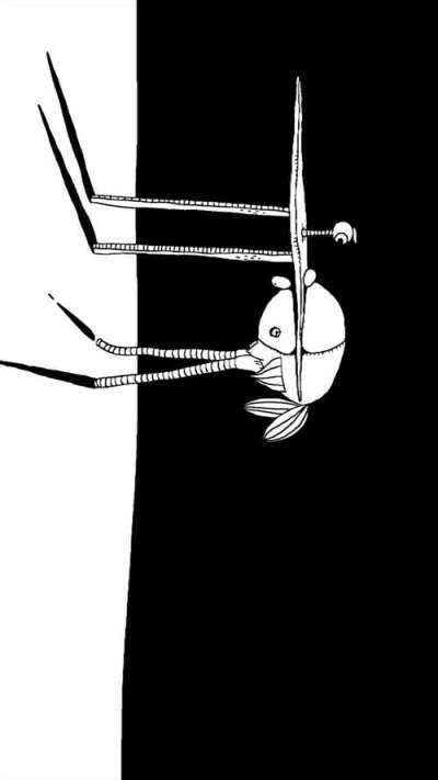 Decanimerone-1 animación