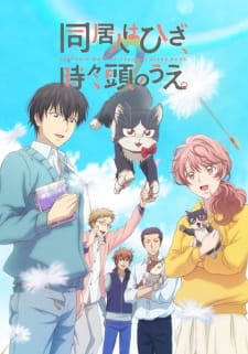Doukyonin wa Hiza, Tokidoki, Atama no Ue. animación
