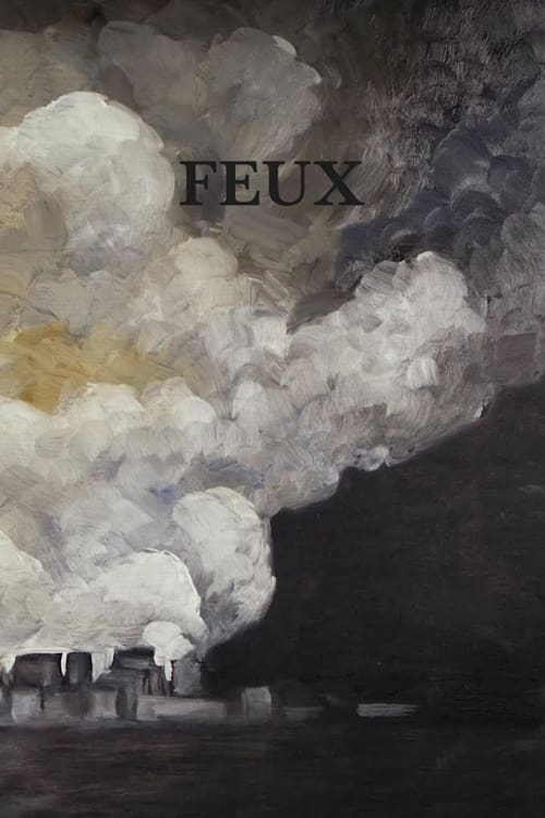 Feux animación