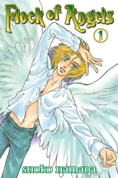 Flock of Angels comic