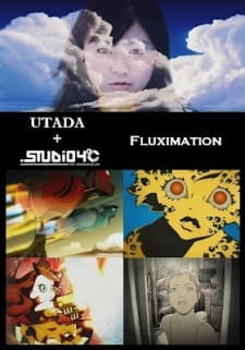 Fluximation animación