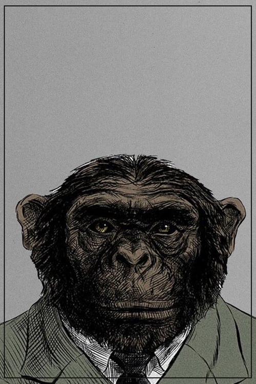 From the Big Bang to Tuesday Morning animación