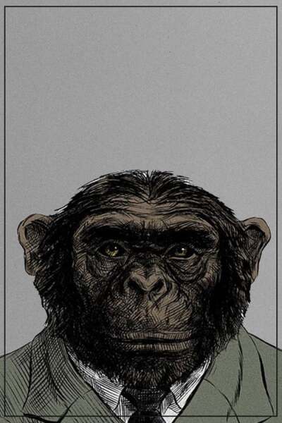 From the Big Bang to Tuesday Morning animación
