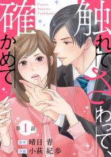 Furete Sawatte, Tashikamete comic
