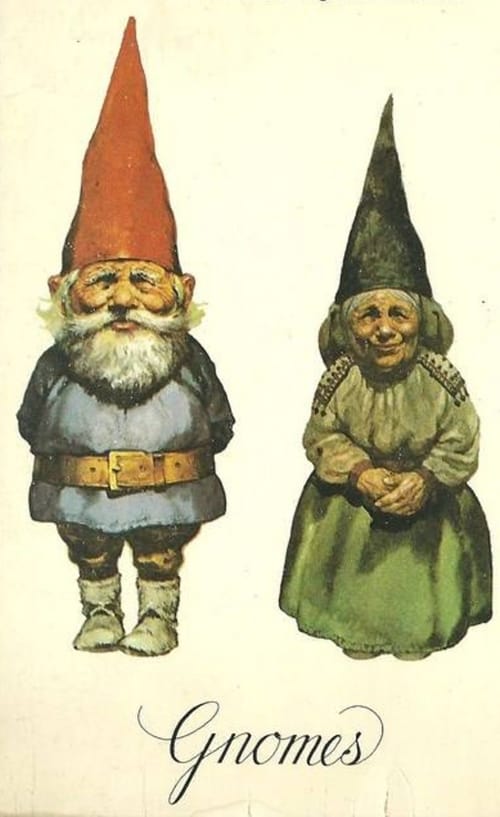 Gnomes animación
