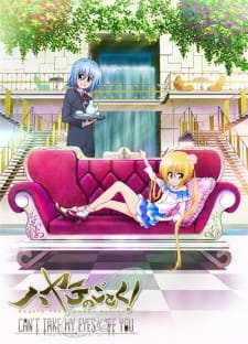 Hayate no Gotoku! Can't Take My Eyes Off You animación