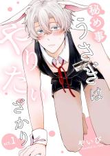 Himegoto Usagi wa Yaritai Zakari comic