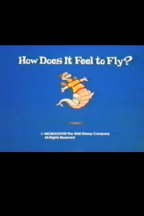 How Does It Feel to Fly? animación