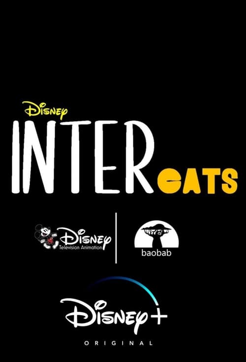 Intercats animación