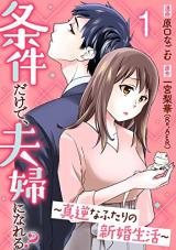 Jouken Dake de, Fuufu ni Nareru? - Magyaku na Futari no Shinkon Seikatsu comic