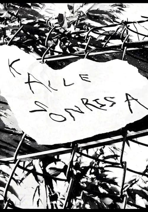 Kalle Sonrisa animación