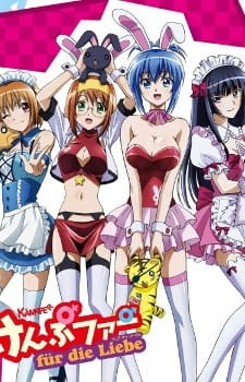 Kämpfer für die Liebe animación