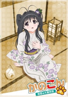 Kanokon: Manatsu no Dai Shanikusai animación