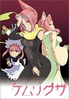 Kemurikusa animación