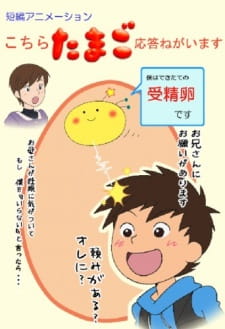 Kochira Tamago Outou Negaimasu animación