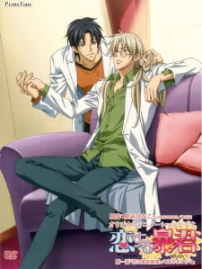 Koisuru Boukun animación