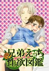 Kyoudai Ecchi Seiyoku Zukan comic