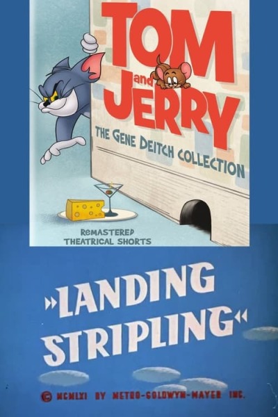 Landing Stripling animación
