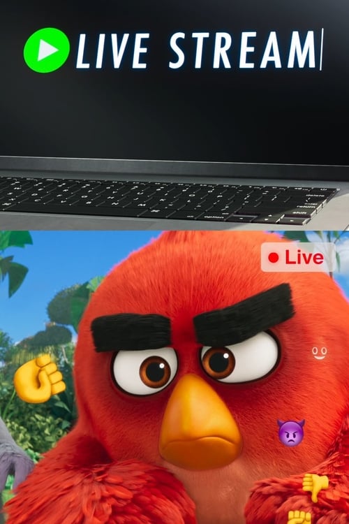 Live Stream animación