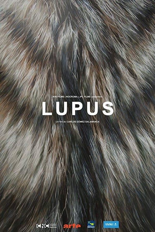 Lupus animación