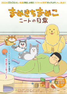 Mamekichi Mameko NEET no Nichijou animación