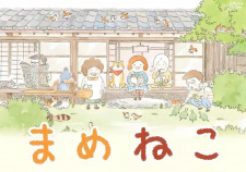 Mameneko animación