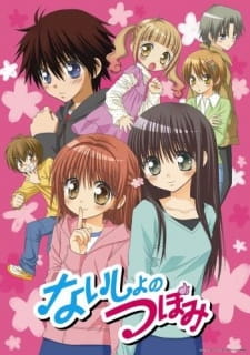 Naisho no Tsubomi animación