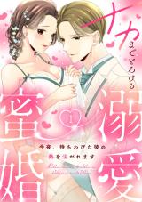 Naka made Torokeru Mitsukon - Konya, Machiwabita Kare no Netsu wo Sosogaremasu comic