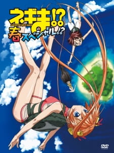 Negima!? Haru Special!? animación