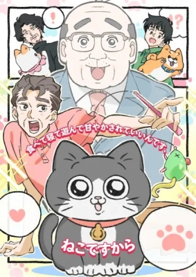 Neko ni Tensei shita Ojisan animación