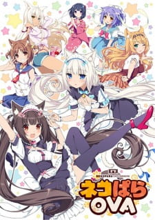 Nekopara OVA animación