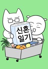 Newlywed Diary comic