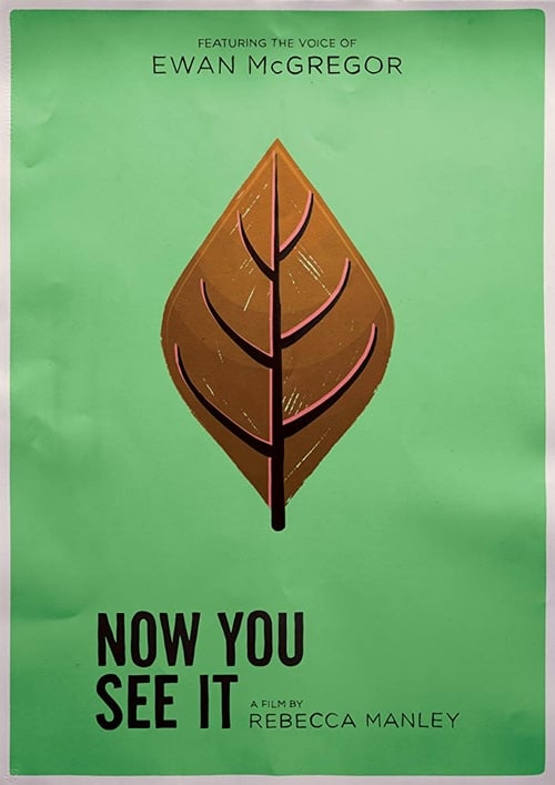 Now You See It animación
