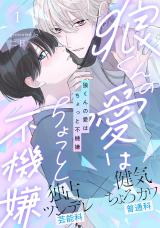 Ookami-kun no Ai wa Chotto Fukigen comic