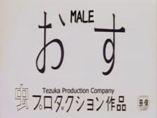 Osu animación