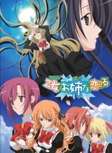 Otome wa Boku ni Koishiteru animación