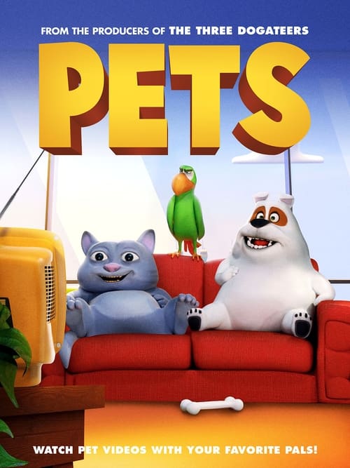 Pets animación