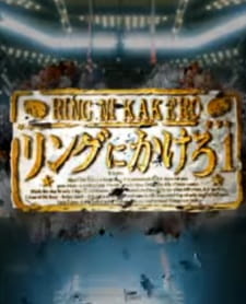 Ring ni Kakero 1 Pilot animación