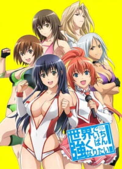Sekai de Ichiban Tsuyoku Naritai! animación