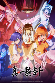 Shin Ikkitousen animación